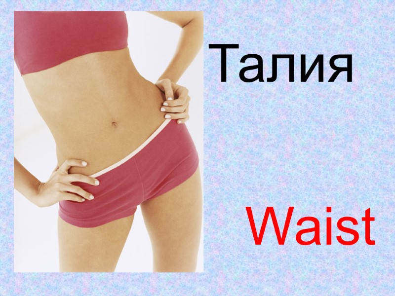 Waist Талия